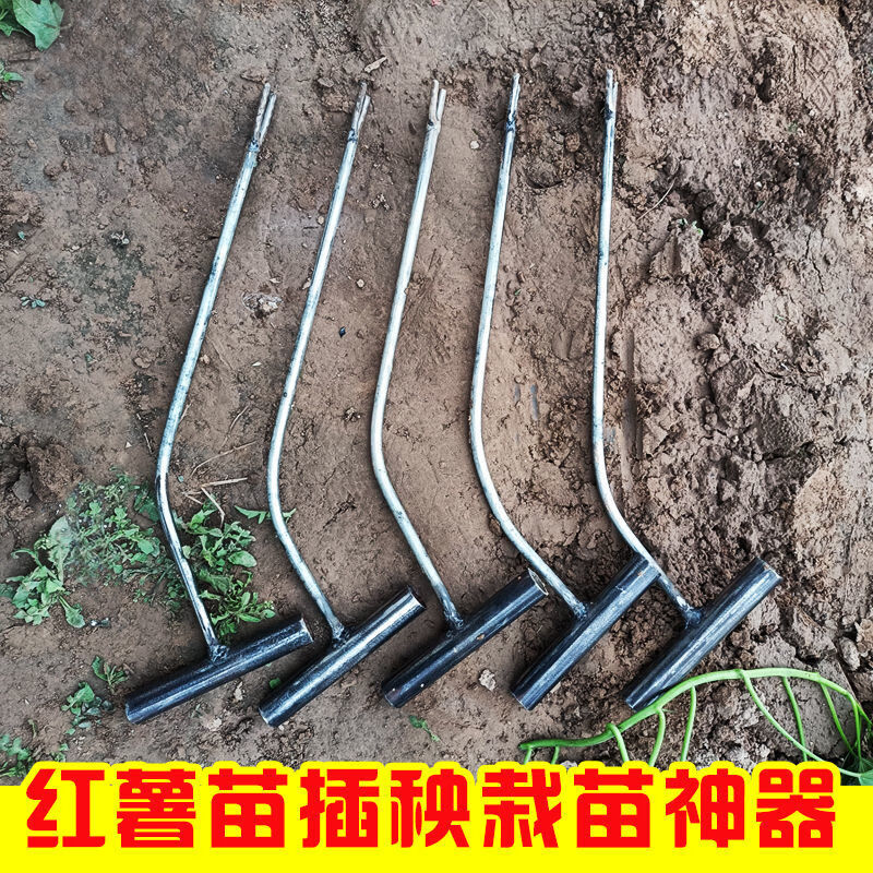 江影清红薯栽苗器地瓜插苗器蔬菜种植工具叉子平栽工具葱苗栽苗器二把