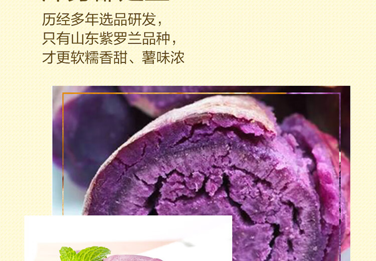 紫大_05.jpg
