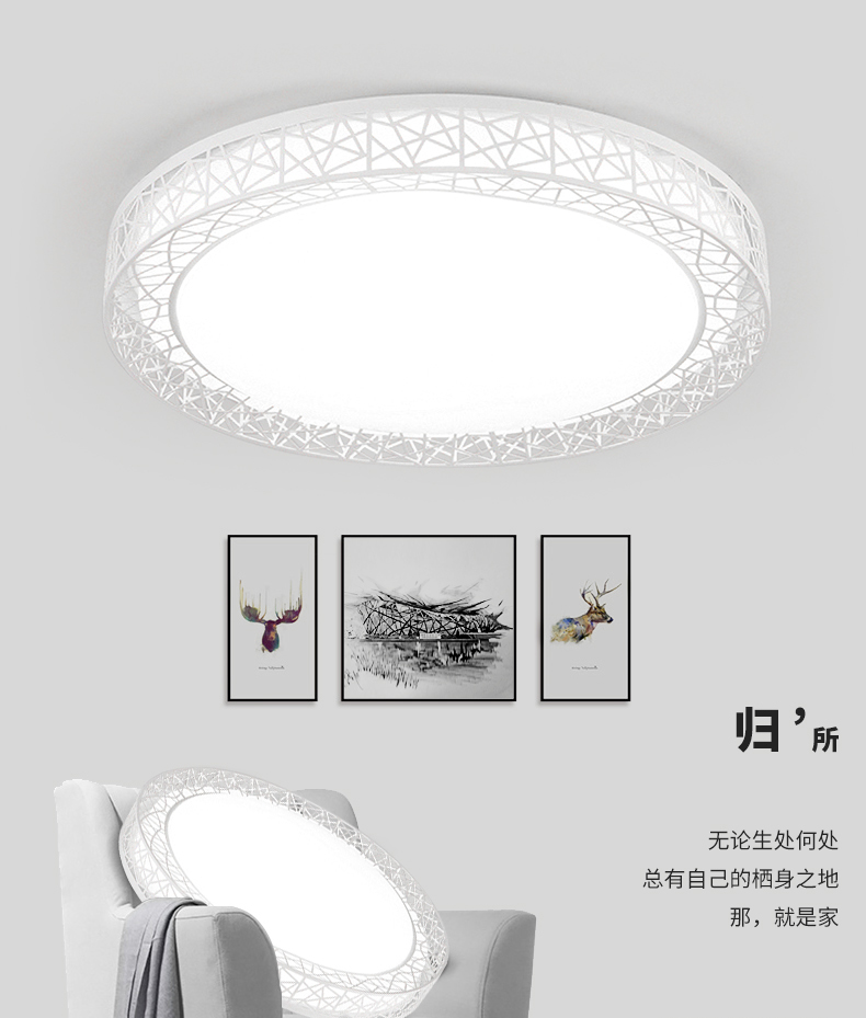海邦 吸顶灯现代简约创意卧室灯温馨浪漫圆形小客厅灯大气鸟巢灯具 白色-35cm-24瓦-白光