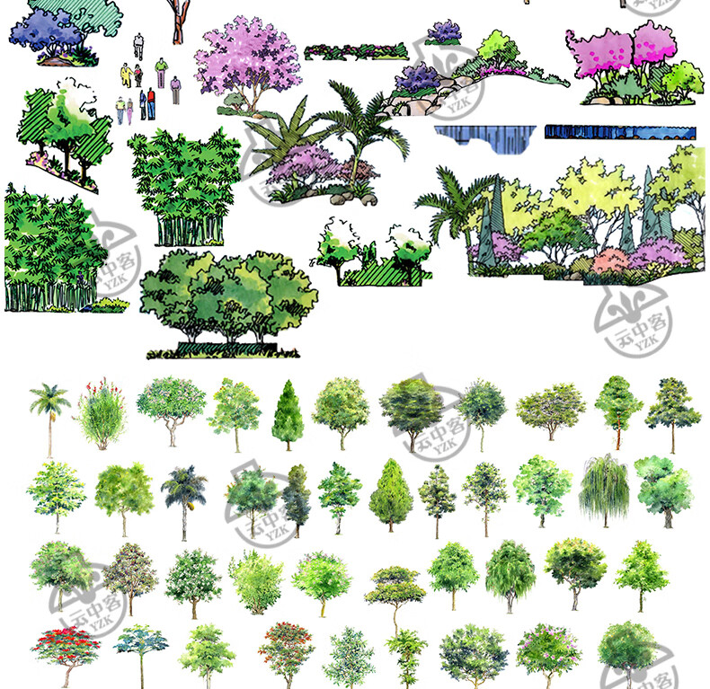 园林景观彩平图水彩风psd植物平面素材手绘辅装小品ps后期效果图