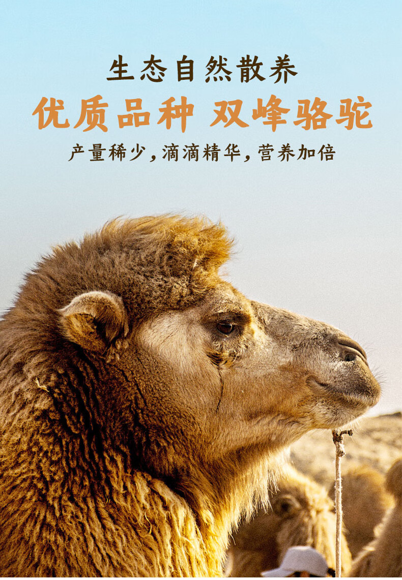 额吉情纯骆驼奶粉内蒙古阿拉善驼奶粉鲜奶孕妇中老年学生全脂无蔗糖驼
