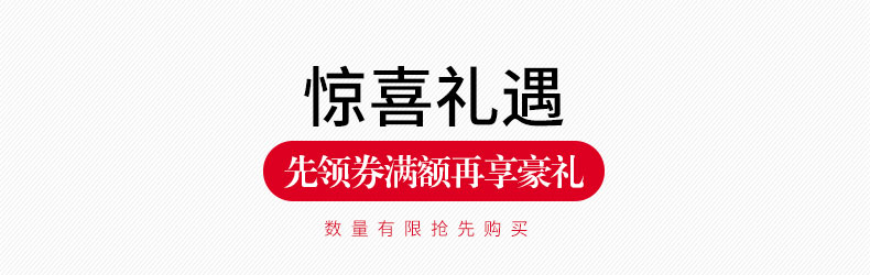 质辛 办公家具办公柜子资料柜落地式档案移动储物柜文件柜带锁矮柜 A款2门矮柜（800*400*1200H）