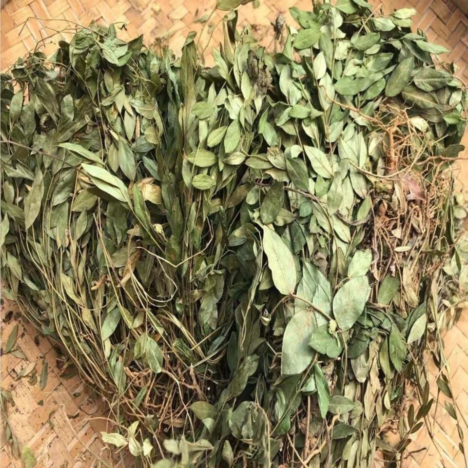 伟博贵州省野生瓜子草中草药材辰砂草勒马回金锁匙挂米草 500g【图片