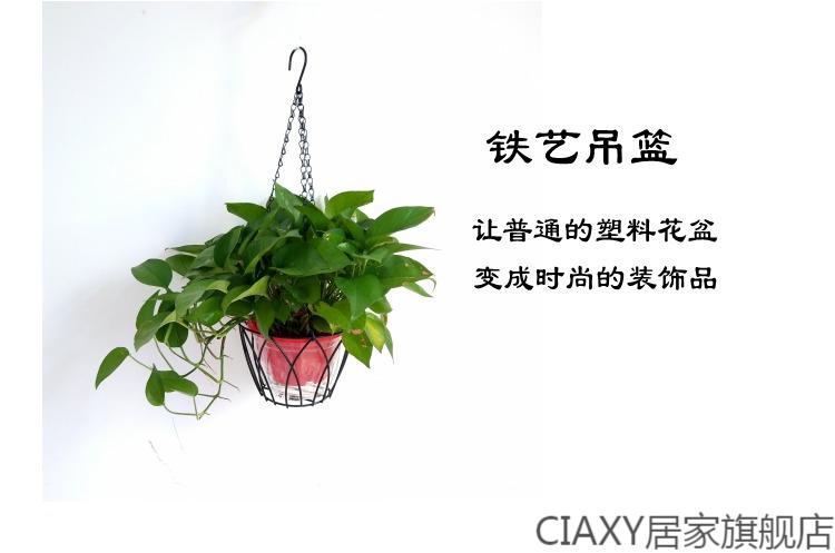 铁艺花盆架悬挂式花盆吊架吊篮壁挂支架阳台垂吊绿萝吊兰花盆挂架 花瓣款黑色铁艺吊篮(含挂链) 小
