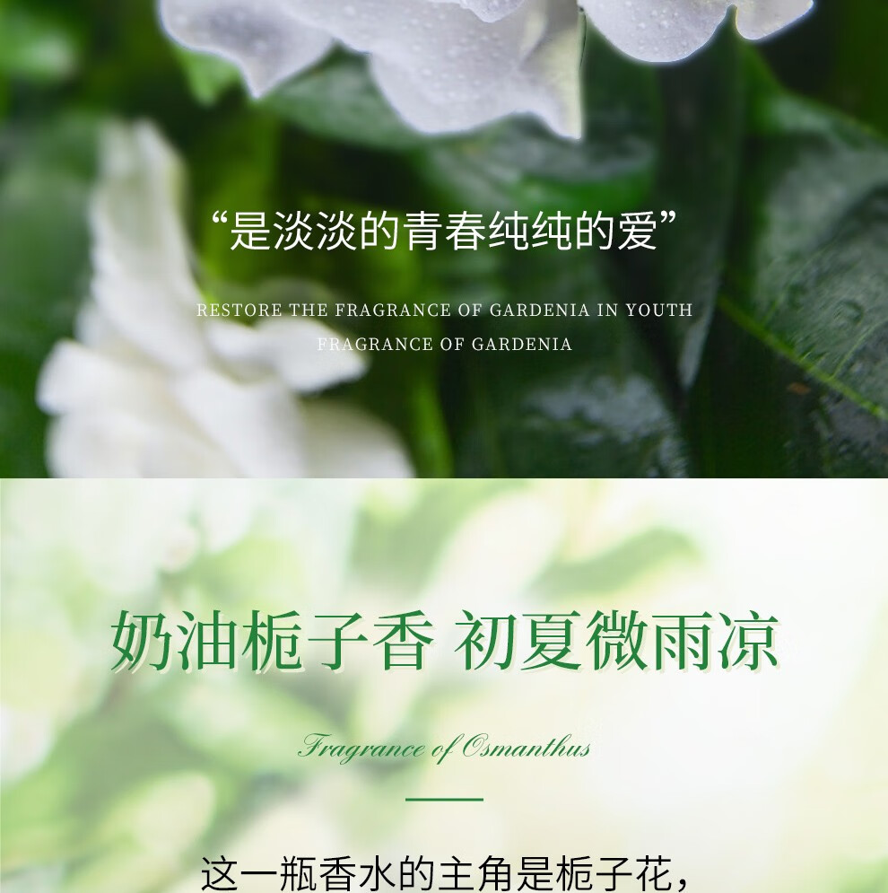 娜赛儿（LASTAR）【法国香水品牌】女士香水纯栀子花香水精品礼盒清新送小样送女友 栀子花简装版