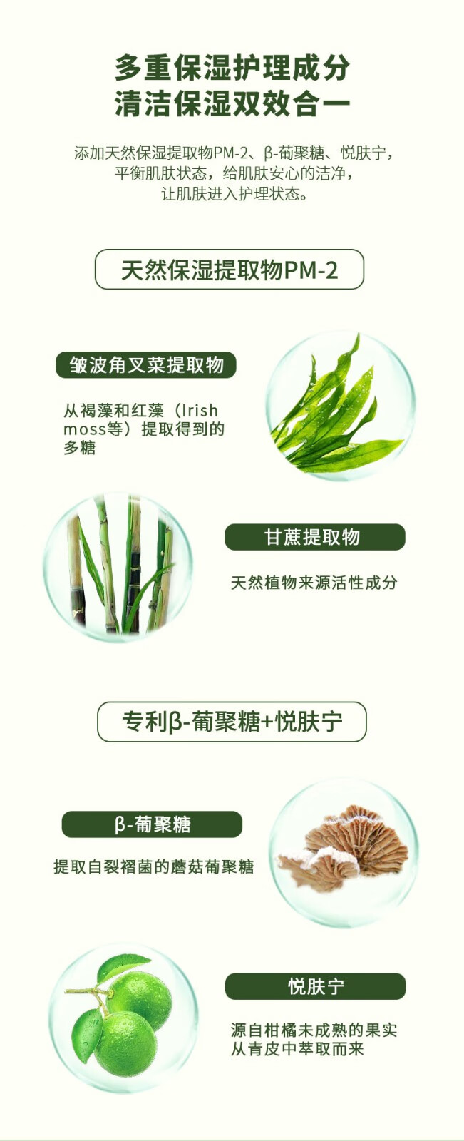 娇润泉洗面奶【杨哥七姐推荐同款】臻颜净透氨基酸洗面奶温和洁面乳 2支/200g