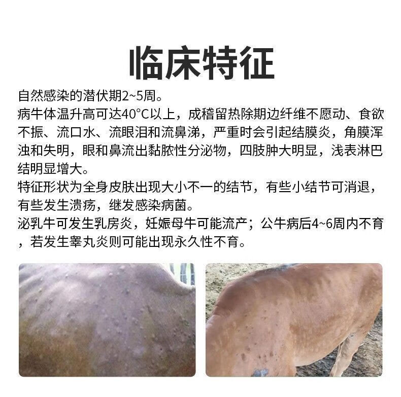 兽用牛结节病专用药孕畜可用长疙瘩专治牛结节病牛羊结节血清2瓶50ml