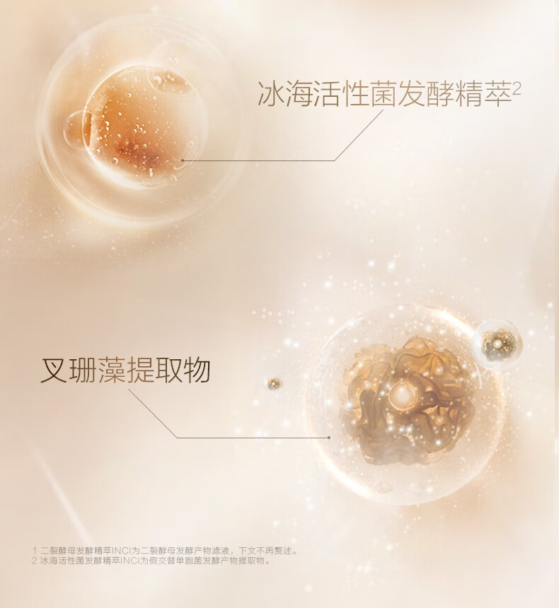 珀莱雅（PROYA）紧致肌密眼霜 淡化眼袋细纹补水保湿精华焦点眼霜生日礼物 焦点眼霜20g