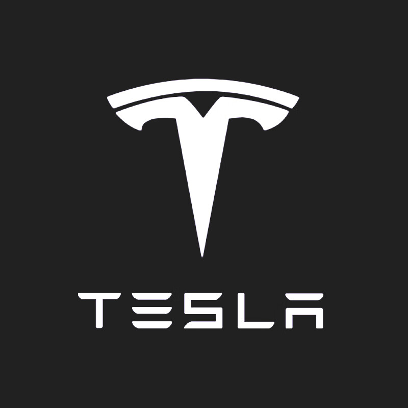 佐航 特斯拉 tesla model x s反光车标贴膜装饰车贴轮毂门把手改装