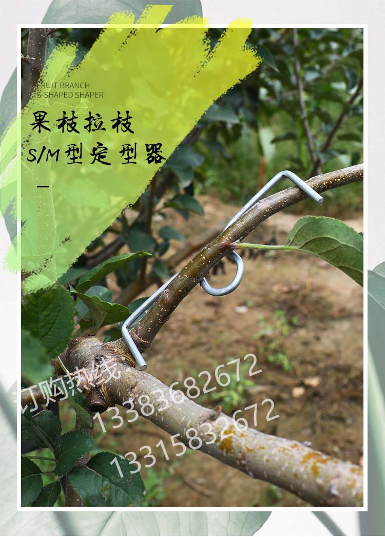 助果树拉枝神器定型器通用m型别枝器s扣开角器压枝弯枝夹 5斤m13(约90