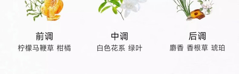 MONOTHEME精品香氛 柑橘之书 大橙子 男士女士中性淡香水  柑橘之书-大橙子100ml