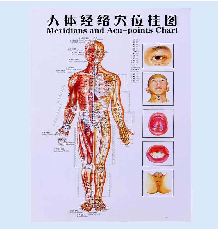 医者意 人体穴位图 人体经络部位 艾灸经穴部位图 人体经穴部位图