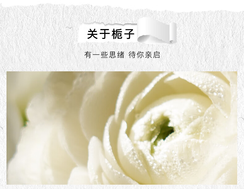 法颂送礼物 就是栀子沙龙香纯粹栀子香自用香送女友礼物清新花香淡雅 就是栀子