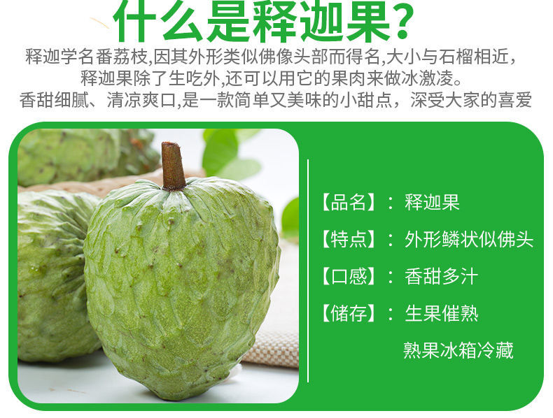 当季现摘牛奶凤梨释迦摩尼果水果新鲜大果番荔枝佛头果15斤一个释迦约