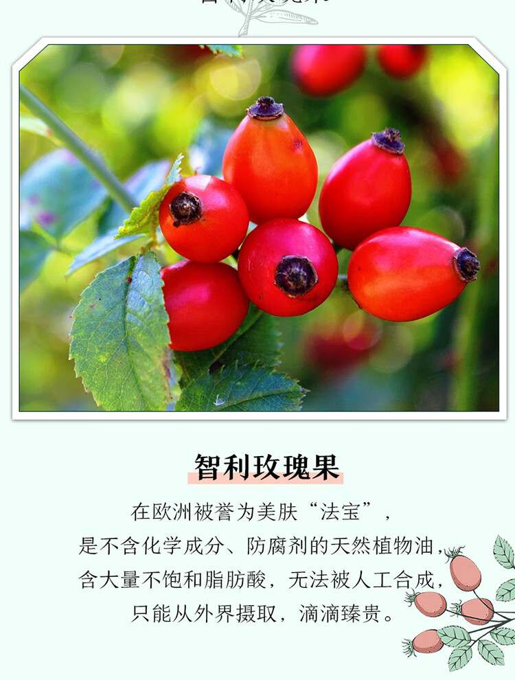 阿芙AFU玫瑰果油基础精油面部补水提亮淡纹滋润按摩油刮痧油护肤品 玫瑰果油100ml
