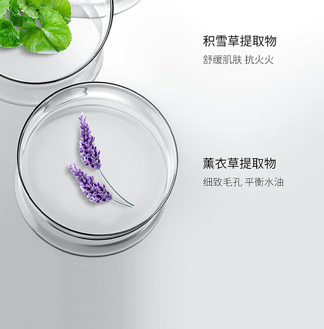 威格菲（WGFei） 祛痘精华浓缩版精华（连锁美容院同款亚韩有售） 精华（30ml）