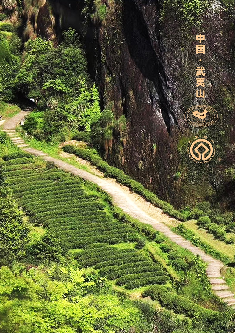 贡川大红袍茶叶浓香型乌龙茶茶叶武夷山岩茶韵香肉桂岩骨花香礼盒432g