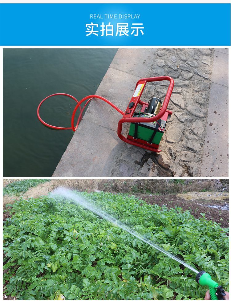 农用浇菜水泵便携式户外抽水机家用小型12v充电式自动