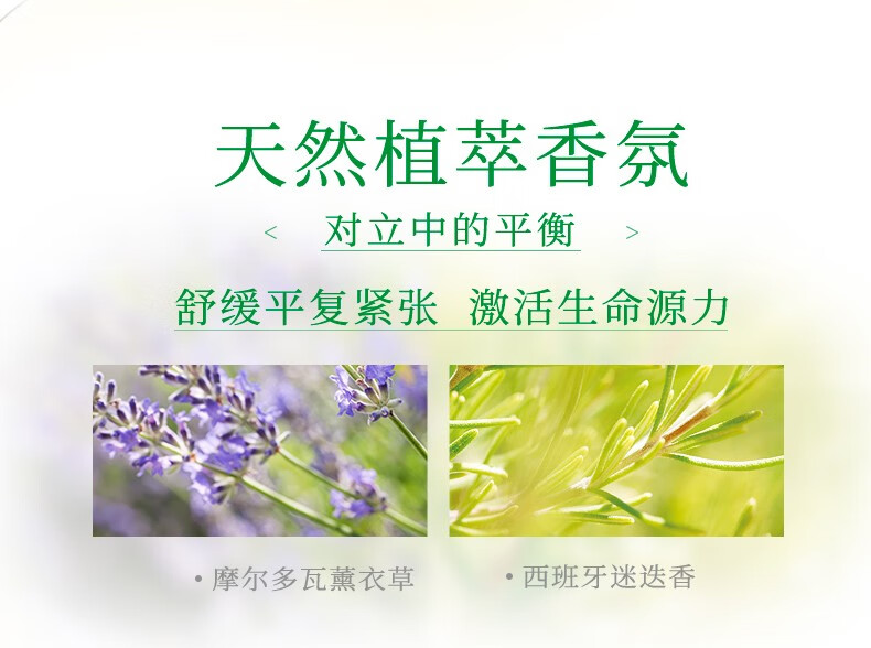 维蕾德（weleda）身体护理精油面部护肤油紧致护肤有机润肌肤按摩油多功能修复油 【李佳琦推荐】白桦紧致100ml