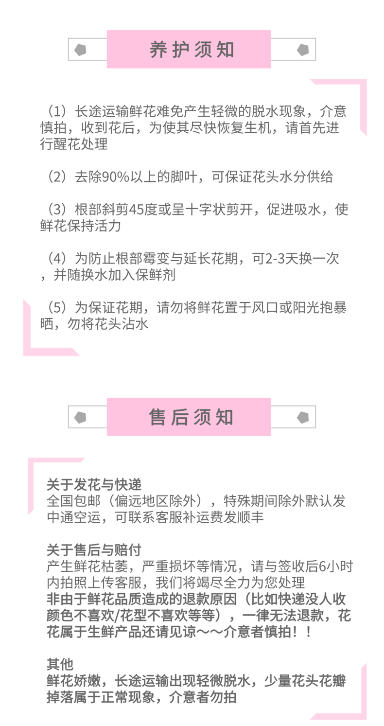 鲜花卡布奇诺琉璃翠咖啡时间斗南直发一束18支送2支防损下单送可利鲜