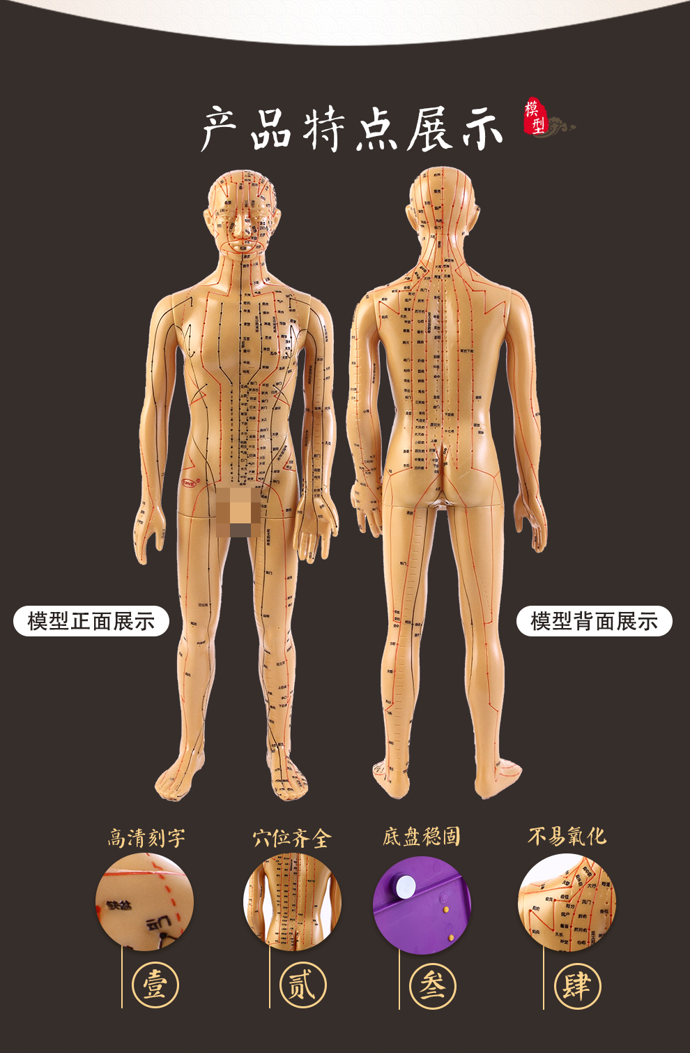 子彧ziyu硬模型中医经络图针灸人体穴位模型全身男小人铜人纯铜超清晰