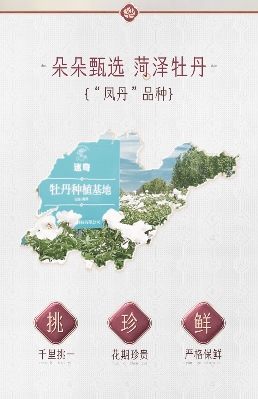 迷奇牡丹花瓣精华水干皮面部补水保湿平衡修护肌肤女爽肤水 牡丹花瓣精华水