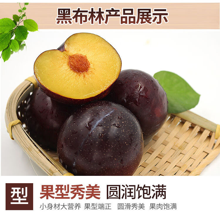 【现在下单】陕西黑布林李子应季新鲜水果孕妇当季甜爽李子 黑布林2斤