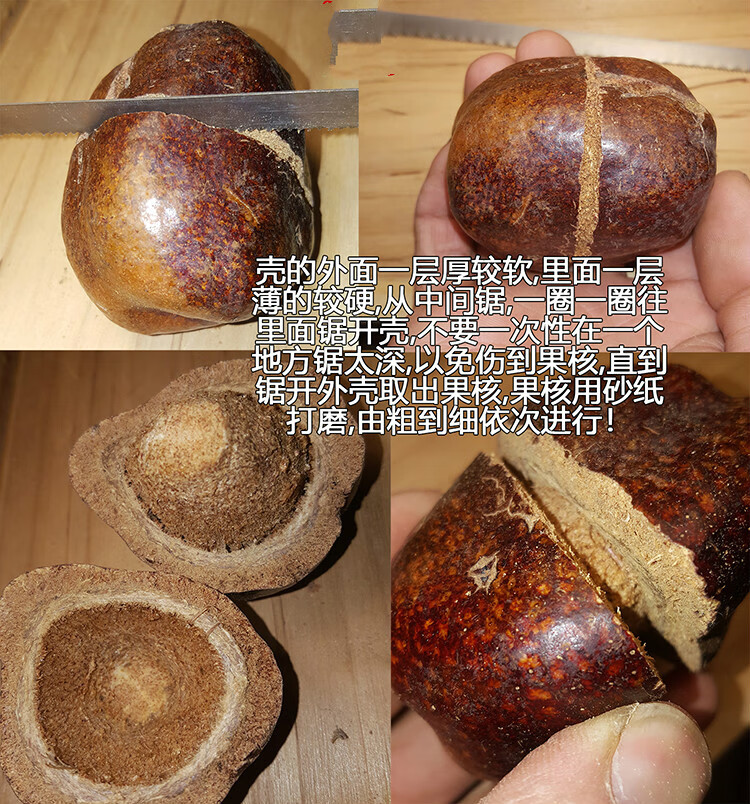 菩提手捻钻加钻头2根外壳约1cm厚,需锯开或锉开外壳取出果核打磨,壳