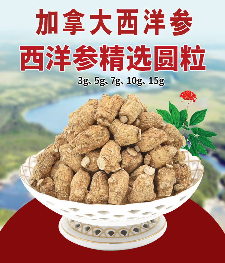 加拿大西洋参粒头8年美国花旗参东北人参特级50g100g250g 西洋参50g