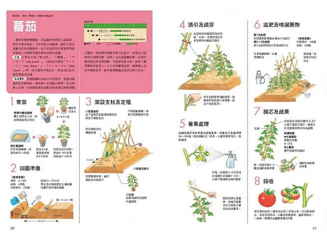 12个月新手种菜大图解100种蔬果培育流程附保存方式与调理秘诀港台