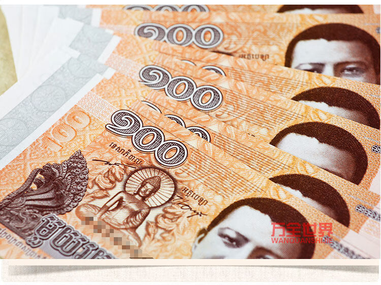 柬埔寨100瑞尔柬埔寨纸币柬埔寨瑞尔钞收藏保真支持银行鉴定柬埔寨2张