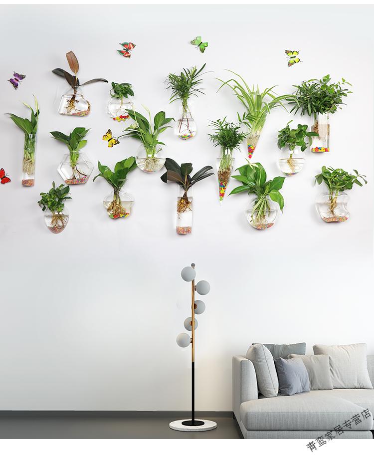创意墙上悬挂小花瓶贴墙水培植物玻璃瓶透明绿萝壁挂花瓶挂墙花盆 十