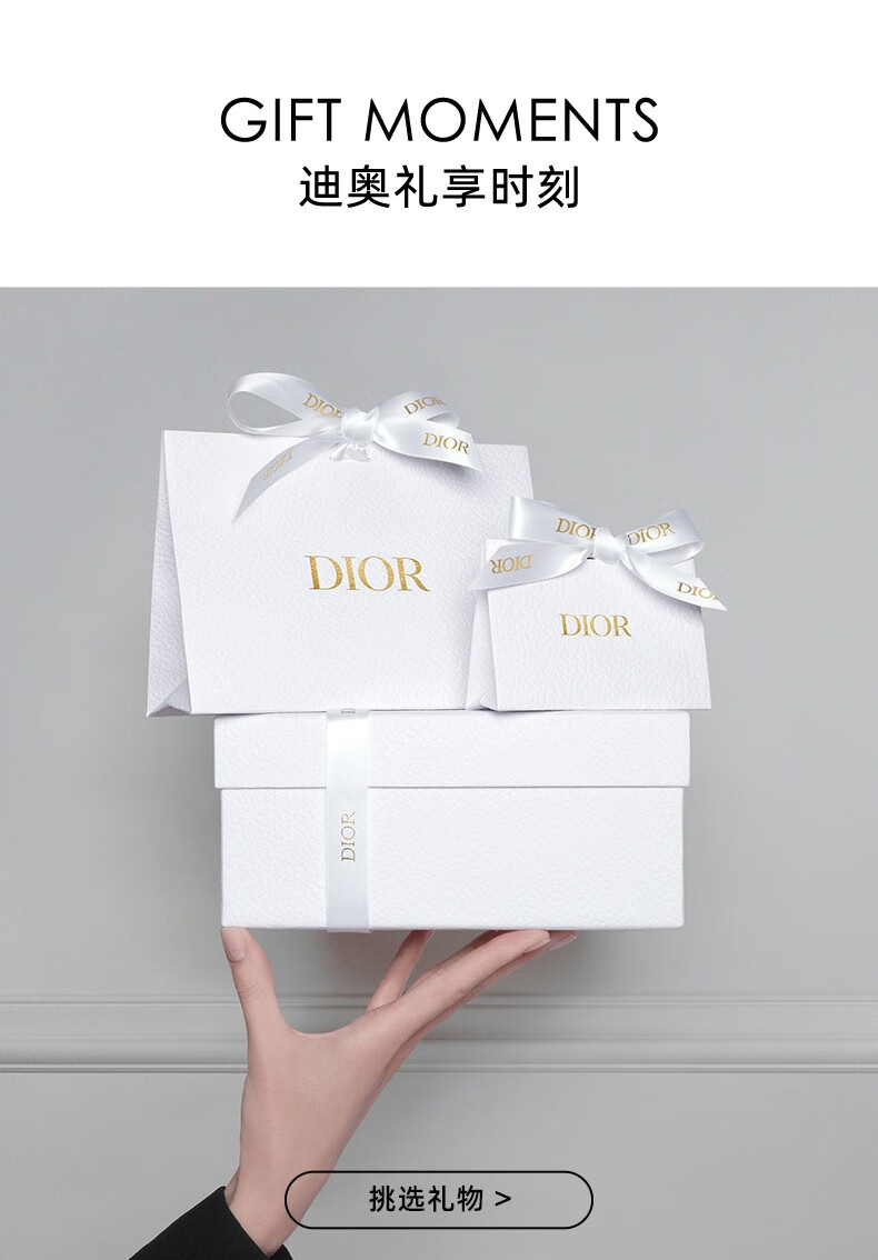 迪奥（Dior） 口红女士唇膏滋润保湿修复烈艳蓝金系列520情人节礼物送女朋友 丝绒840#枫叶砖红色