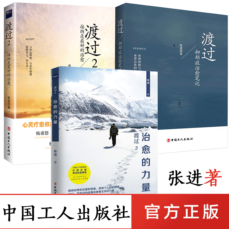 共3册 渡过1 2 3 抑郁症治愈笔记 张进 走出抑郁症 治愈的力量 一个