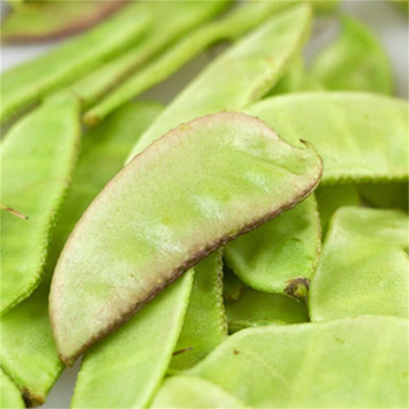 龙烜 四川扁豆 新鲜蔬菜 猫儿豆茶豆角嫩 500g