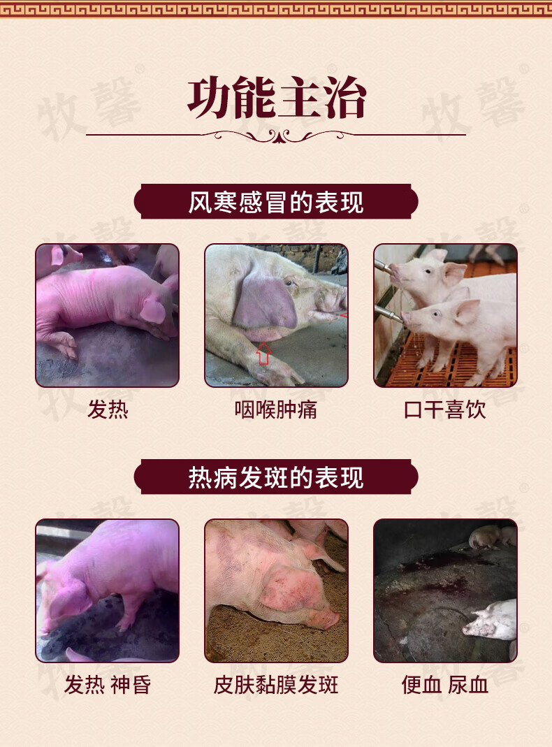 牧馨兽药板青颗粒兽用猪牛羊鸡药呼吸道药清热解毒犬猫发热感冒药板青