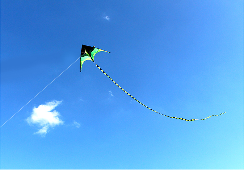 可爱布丁 风筝大型套装儿童卡通亲子户外玩具潍坊纸鸢大号线轮套装 1米涂鸦风筝+30米线柄（含颜料）