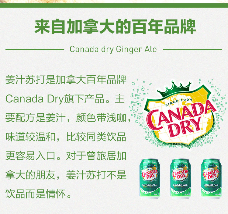 加拿大canada dry ginger ale 姜汁汽水干姜水生姜水8