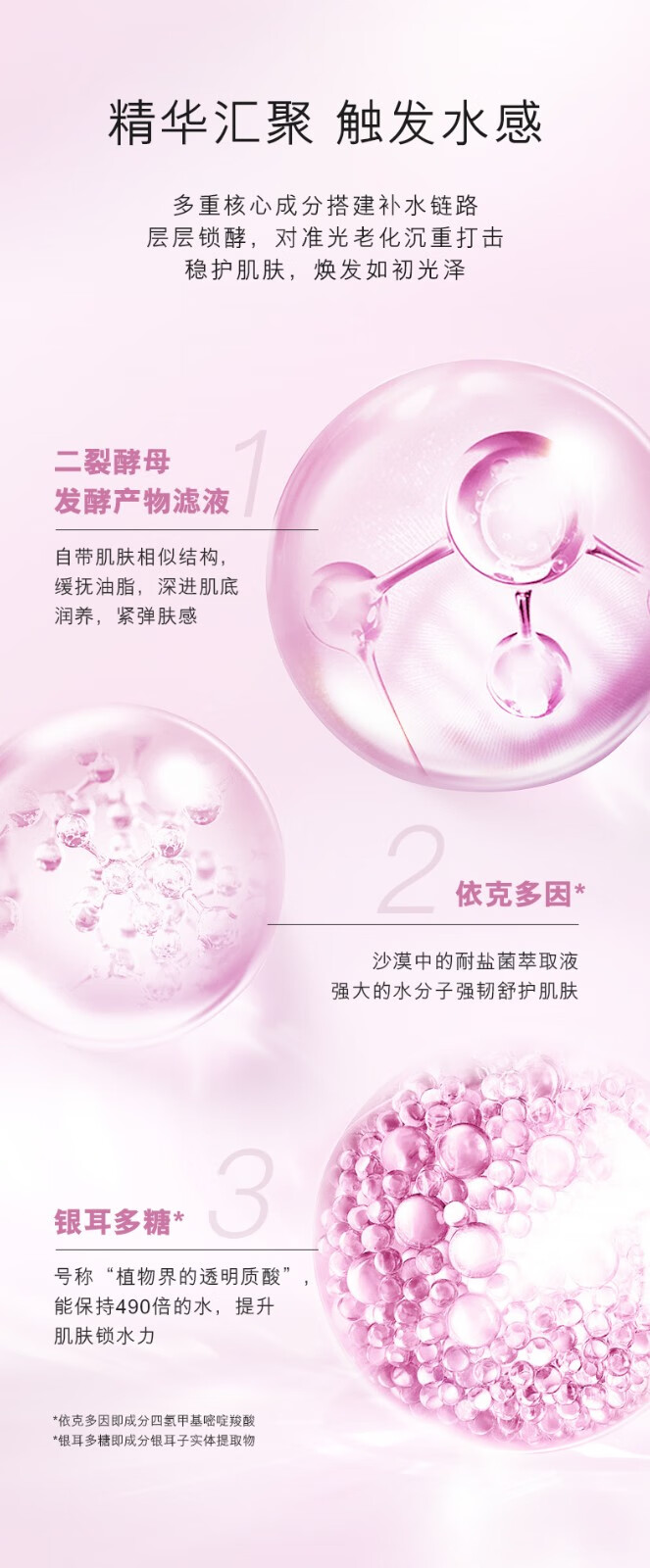 蓝尼芳可（LANNIFANGKE）二裂酵母挚颜晶透护肤水乳组合 男女士爽肤水乳液护肤品 2件套