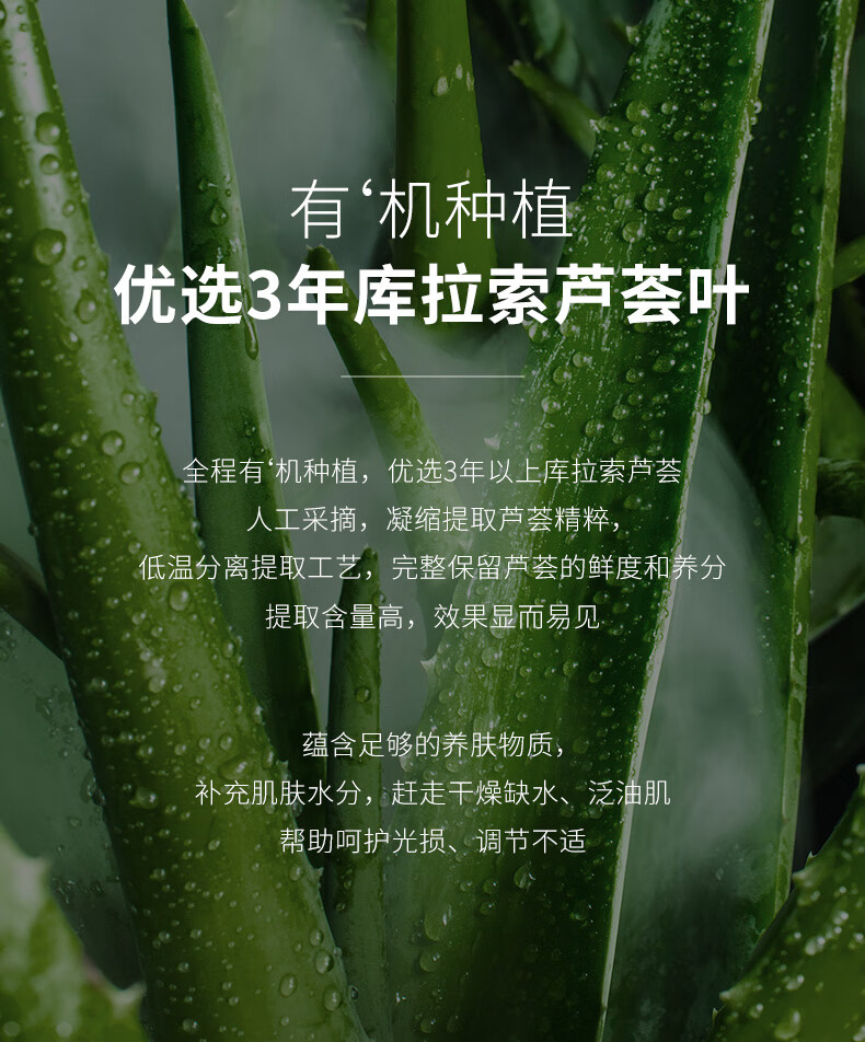冰菊（Bing Ju）芦荟植萃保湿面膜精华润肤提亮补水保湿 40片/片装