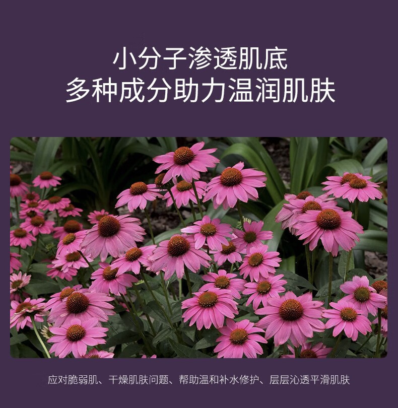 谜草集花青素多肽补水七件套保湿滋润锁水夏季护肤化妆品套装 花青素多肽补水七件套