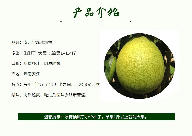 湖南怀化安江雪峰冰糖柚小苦柚柚子非蜜柚带箱20斤大果金兰柚 (小果)