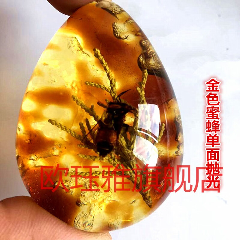 昆虫标本琥珀蝎子蜘蛛项链蝴蝶吊坠知了虫珀原石儿童礼物小学蝴蝶双面