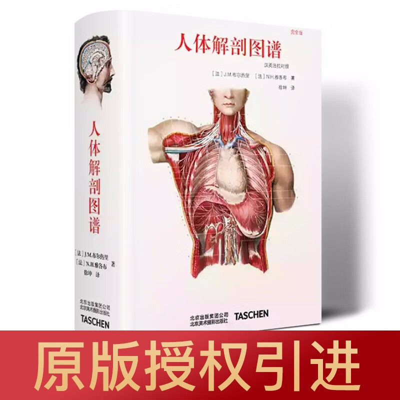 人体解剖图谱 taschen授权引进 真人比例人体手绘手稿艺术画册