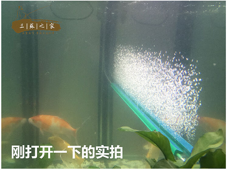 鱼缸气泡条氧气泵气帘水族箱气泡盘气泡石增氧泵沙头瀑布散气砂条