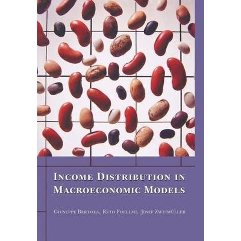 按需印刷Income Distribution in Macroeconomic Models[9780691121710]