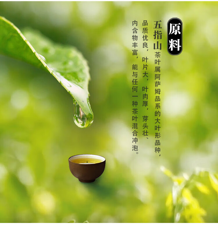 尚南堂海南红茶大叶种茶海红七号1985海南特产茶茶叶礼盒100g