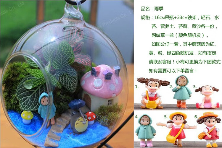 苔藓微景观生态瓶植物多肉盆栽diy材料包桌面玻璃小摆件组合润景守候