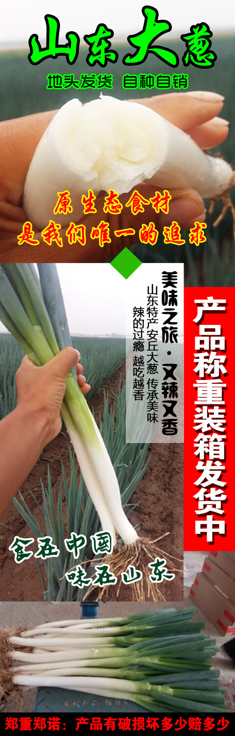 山东铁杆大葱去叶新鲜蔬菜(非章丘大葱 3斤大葱