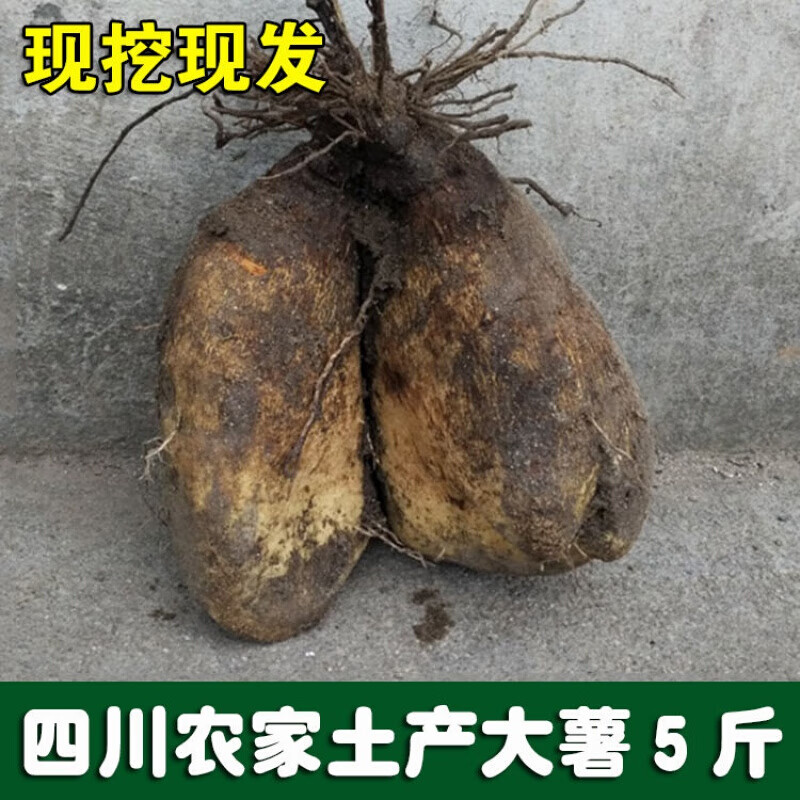 四川特产大薯宜宾农家土特产白薯淮山药脚板薯切苕5斤板栗薯大薯5斤白